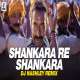Shankara Re Shankara (Remix) DJ Nashley Poster