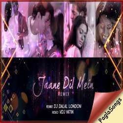 Jaane Dil Mein Kabse Ha Tu vs Lean On Remix   Dj Dalal Poster