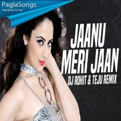 Janu Meri Jaan (Remix) DJ Rohit n Teju Poster