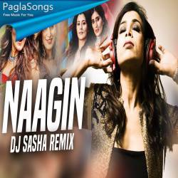 Naagin (Remix) DJ Sasha Poster