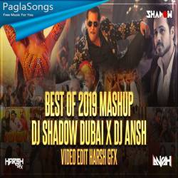Best of 2019 Mega Mashup   DJ Shadow Dubai x DJ Ansh Poster
