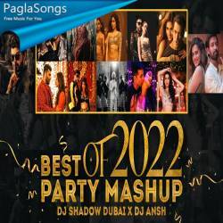 Best Of 2021 Party Mashup Poster