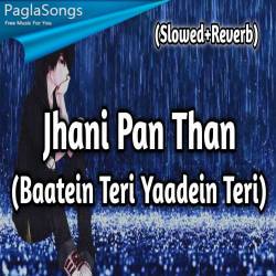 Jhani Pan Than Poster