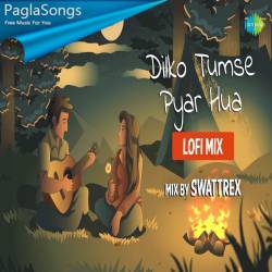 Dilko Tumse Pyar Hua (LoFi Mix) Poster