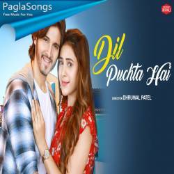 Dil Puchta Hai Poster