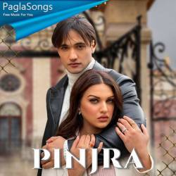 Pinjra Poster