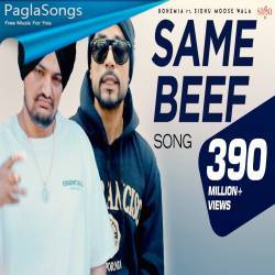 Same Beef Poster