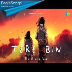 Tere Bin   The Shining Tone Poster