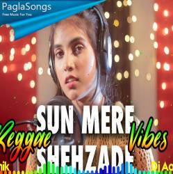 Sun Mere Shehzade (Reggae Mix Female Cover) Dj Ashik Poster