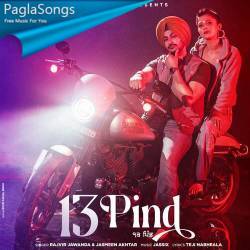 13 Pind Poster