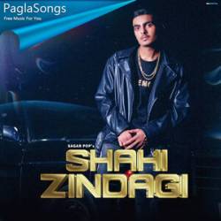 Shahi Zindagi Poster