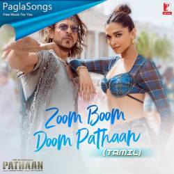 Zoom Boom Doom Pathan Poster