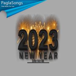 Happy New Year 2023 Whatsapp Status Video Download PagalWorld
