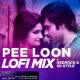 Pee Loon LoFi Mix Poster