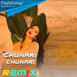Chunari Chunari Dj Remix Poster