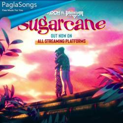 Sugarcane Poster