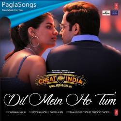 Dil Mein Ho Tum Poster