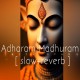 Adharam Madhuram (Slowed Reverb)