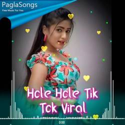 Hole Hole Tik Tok Viral - A1 Music Poster