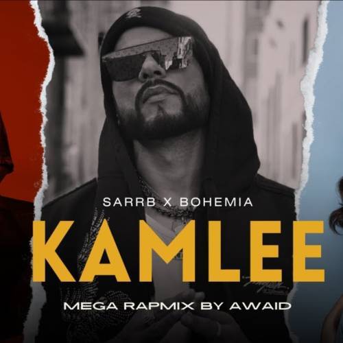 Kamlee (Mega Rapmix) Poster