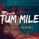 Tum Mile (Slowed Reverb) Poster