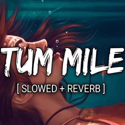 Tum Mile (Slowed Reverb) Poster