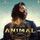 Animal Ranbir Kapoor Entry