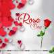 Rose Day Special Mashup Poster