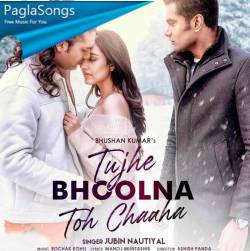 Tujhe Bhoolna Toh Chaha Poster