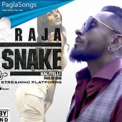 Like a Snake x Kaliteli Poster