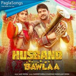 Husband Bawla Poster